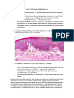 Cuestionario Semana 6