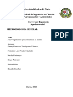 Grupo 4 Microorganismos Que Contaminan La Harina