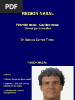 Region Nasal - Correa