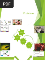 Aminoacidos Proteinas y Enzimas