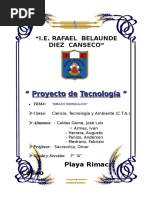 Proyecto de Tecnologia Brazo Excavador Hidraulico