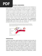 Diseminacion Neoplasica y Angiogenesis