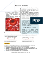 Notación Científica