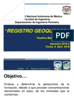 Registro Geoquimico