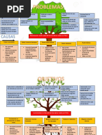 Arbol de Problemas y Objetivos