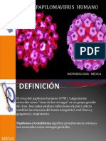 Papilomavirus. Diapositivas