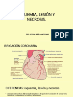 Isquemia, Lesión y Necrosis