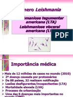 Aula Leishmania 2017 PDF