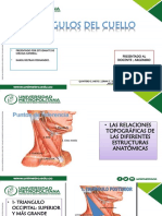 Triangulos Del Cuello