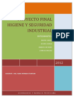 Proyecto Final (Higiene y Seguridad Industrial)