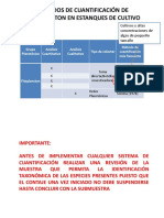 Cuantificación de Fitoplancton Sedwick Rafter