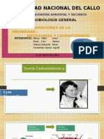 Invaginaciones de La Membrana (Mesosomas y Cromatoforos)