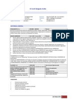 CV de Jordi Delgado Avilés (Distribución)