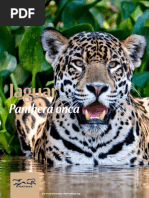 Panthera FactSheets Jaguar