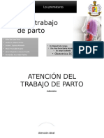 Atencion de Trabajo de Parto GPC