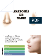 Anatomía de Nariz Otorrinolaringologia