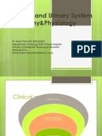 Kidney and Urinary System Anatomy&Physiology