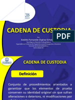 Cadena de Custodia