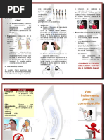 Triptico Cuidado de La Voz