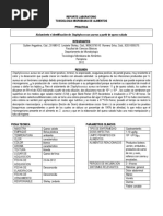 Reporte Laboratorio S. Aureus