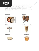 Instrumentos Flocloer Regional