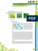 Data Kehutanan Bangka Belitung PDF