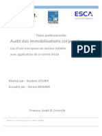 Deloitte - Audit Immobilisation Corporelles