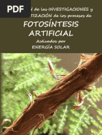 Revista Fotosintesis