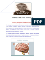 Teoria de Los Bloques Funcionales - Parte 1