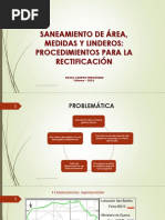 Saneamiento de Área, Medidas y Linderos: Procedimientos para La Rectificación.