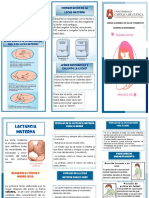 Triptico Lactancia Materna