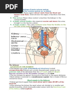 Two Kidneys: Extract Waste From The Blood and Balance Body Fluid