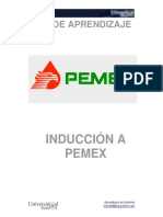 Guia Induccion A PEMEX 2007 PDF