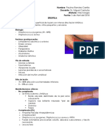 Erisipela, Celulitis y Ectima Gangrenoso