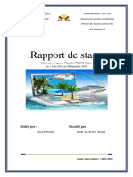 Rapport de Stage m1 2014 Nouha Alem