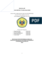 BAB Kelompok Utama Bakteri Bergey's Manual - Kel 6