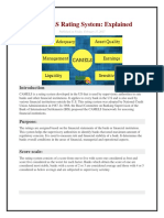 Camel Rating Framework