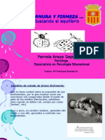 Ternura+y+Firmeza+2013 PPT Pps