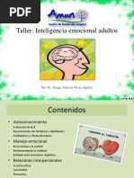 Taller Inteligencia Emocional Adultos.