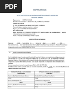 Acta Constitutiva de Una Comisión de Seguridad