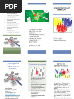 Folleto Segmentacion de Mercados