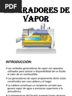 Generadores de Vapor Exposicion