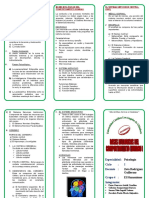 Triptico Bases Biologicas