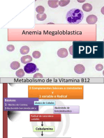 Anemia Megaloblastica