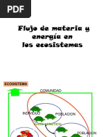 Cadena Alimenticia - Flujo de Materia y Energia