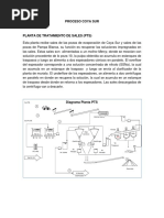 Proceso Coya Sur