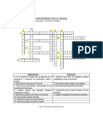 CRUCIGRAMA DE LA CELULA Organelos