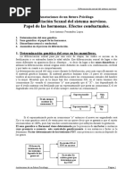 Hormonas y Diferenciacion Sexual