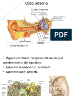 Oído Interno