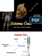 Sistema Óseo